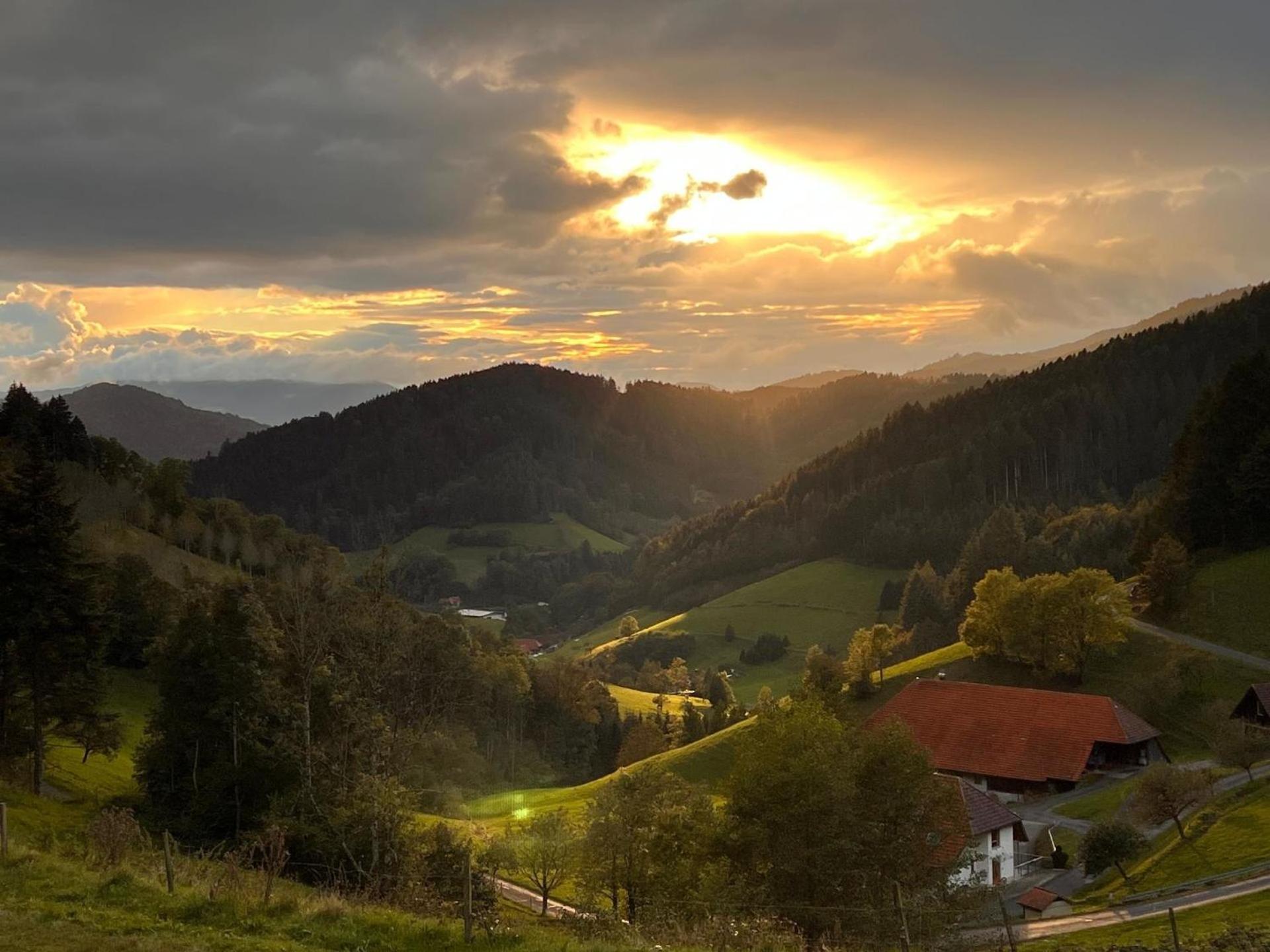 Haus Mit Whirlpool, Sauna Und Schwarzwaldblick