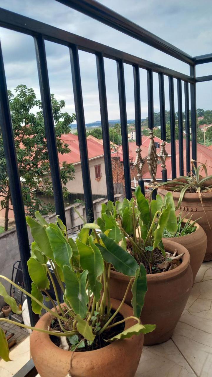 The Lookout Homestay