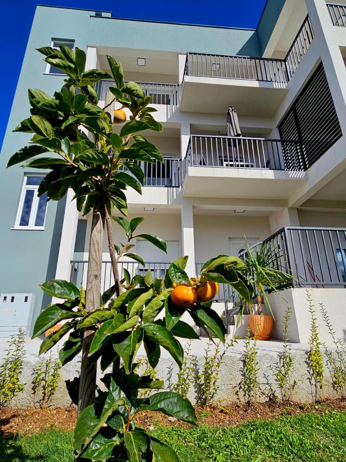 Apartments Royal Holiday view 3