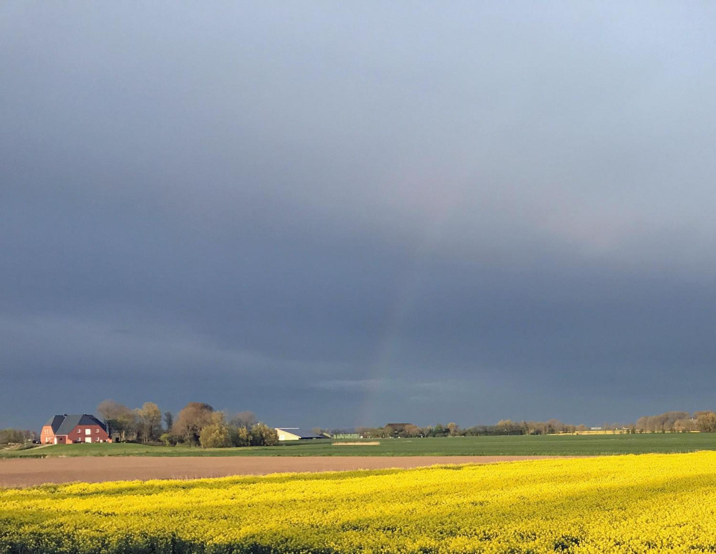 Reetdachkate Nordstrand