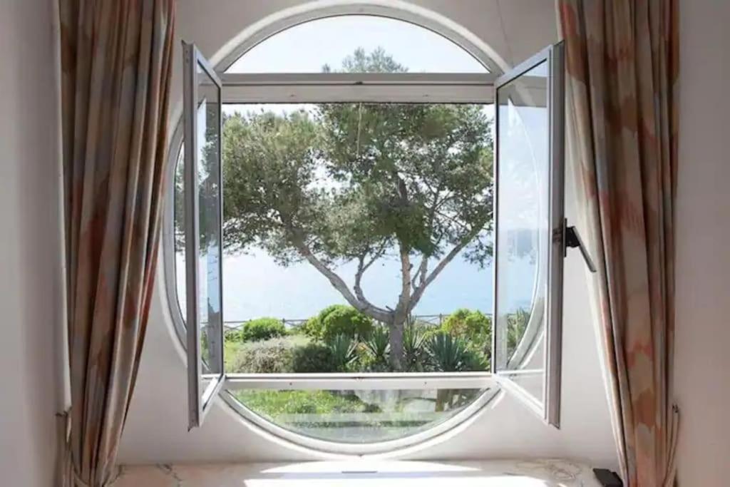 Carvoeiro Vacations - Ocean View Apartment - Property Image 23