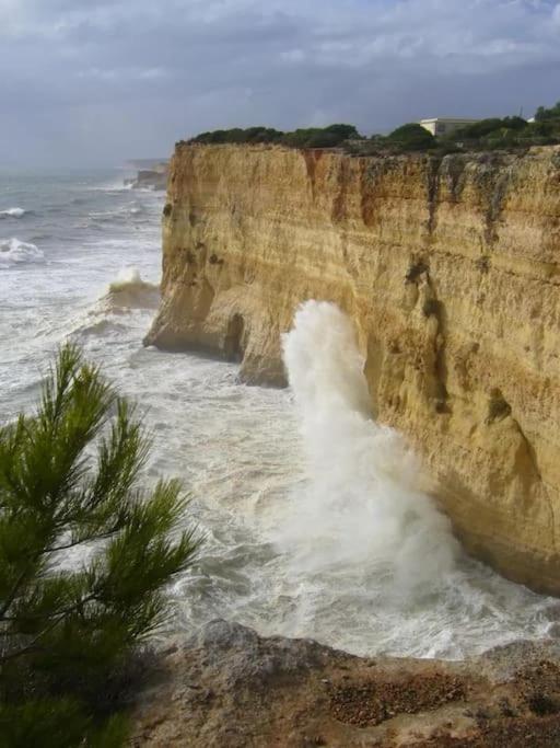 Carvoeiro Vacations - Ocean View Apartment - Property Image 31