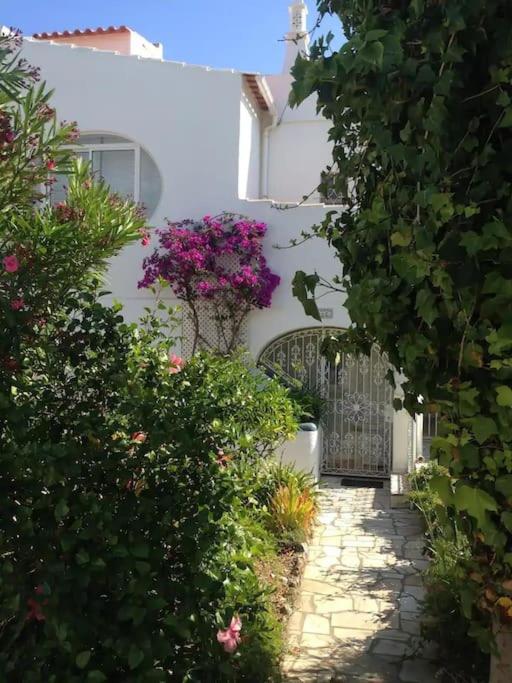 Carvoeiro Vacations - Ocean View Apartment - Property Image 8