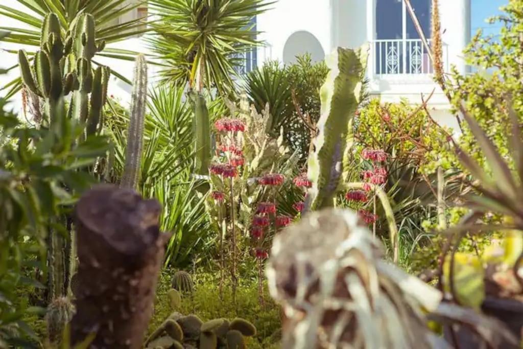 Carvoeiro Vacations - Ocean View Apartment - Property Image 11