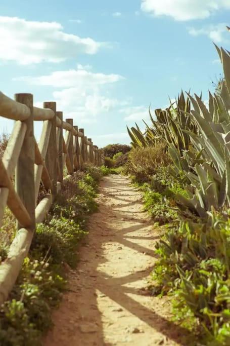 Carvoeiro Vacations - Ocean View Apartment - Property Image 13
