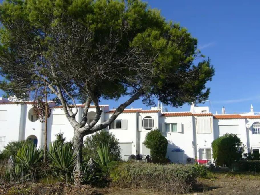 Carvoeiro Vacations - Ocean View Apartment - Property Image 14