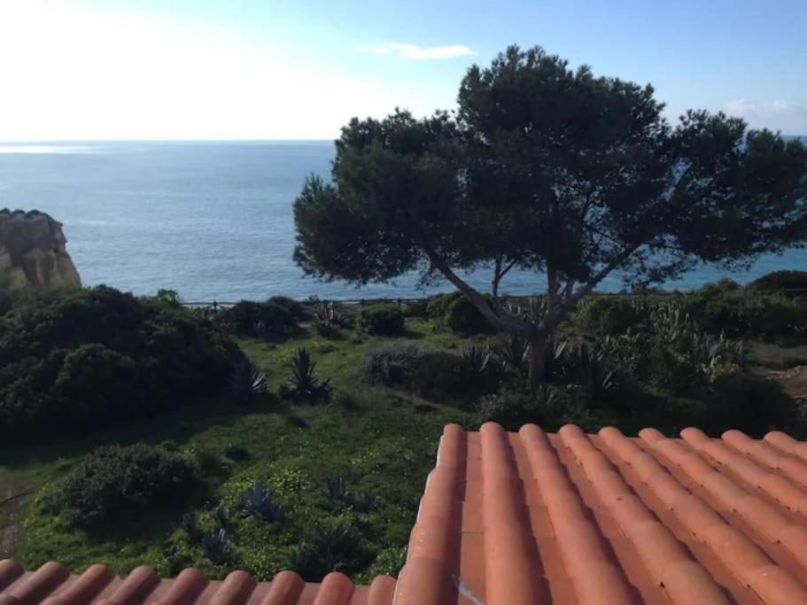 Carvoeiro Vacations - Ocean View Apartment - Property Image 15