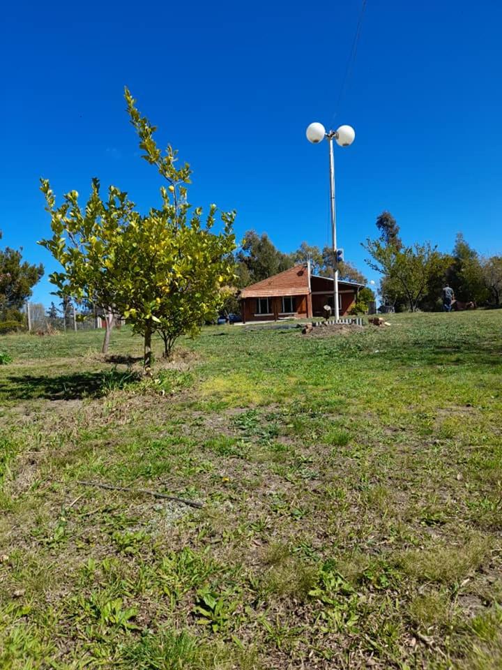 Cabaña Para Lelo