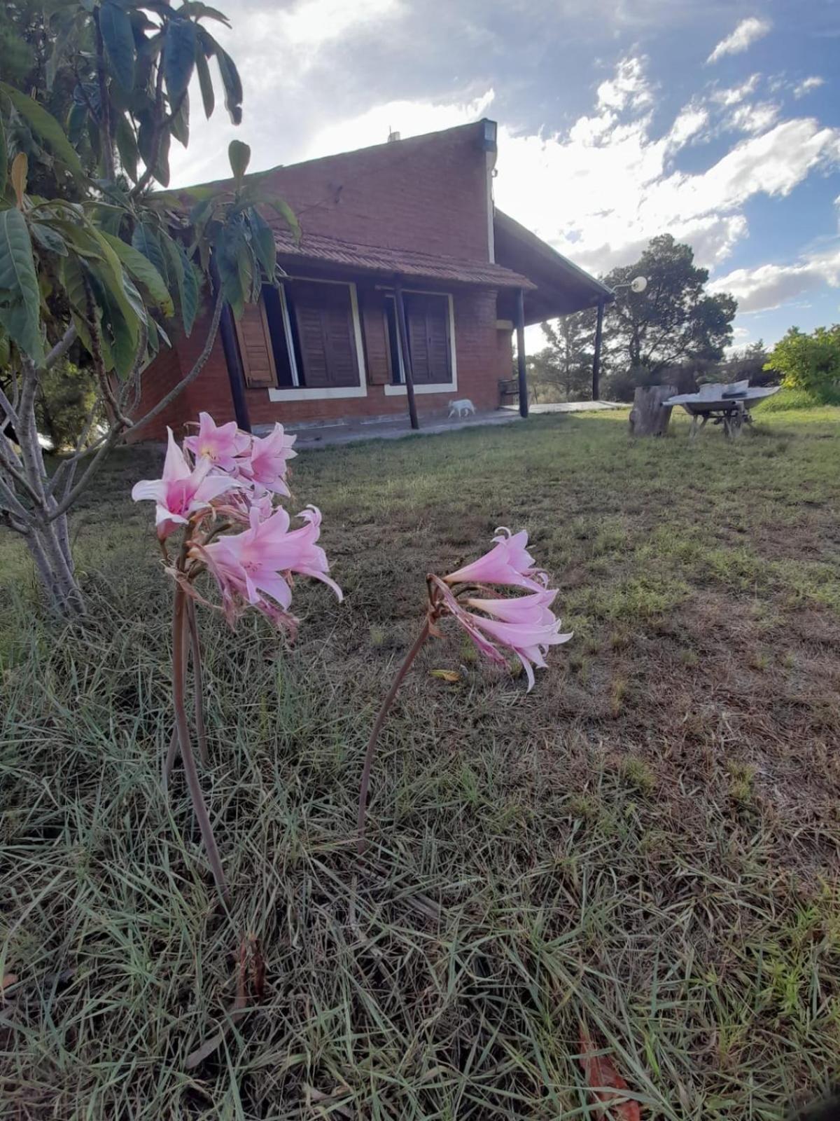 Cabaña Para Lelo