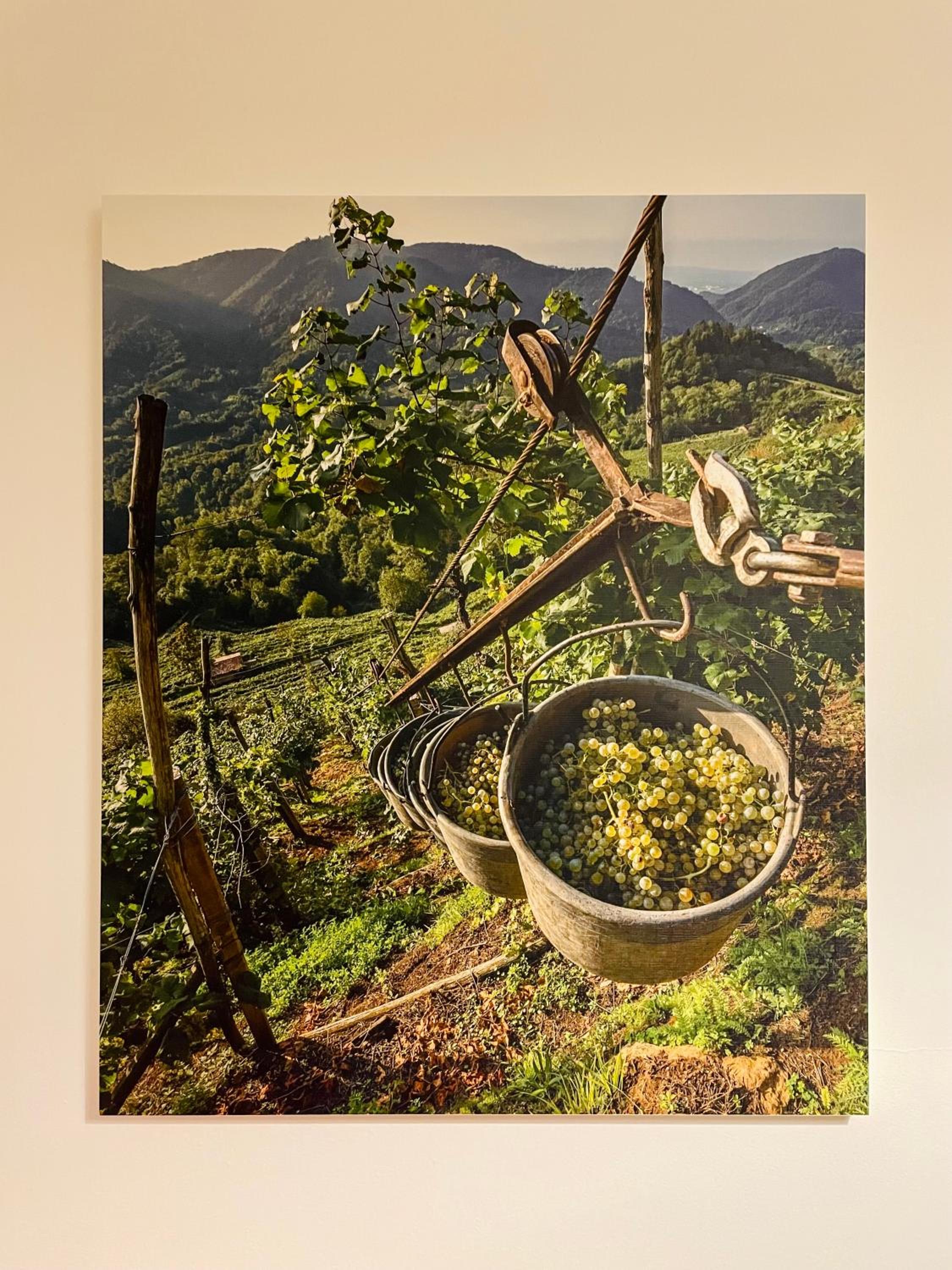 Accogliente appartamento in centro photo 4