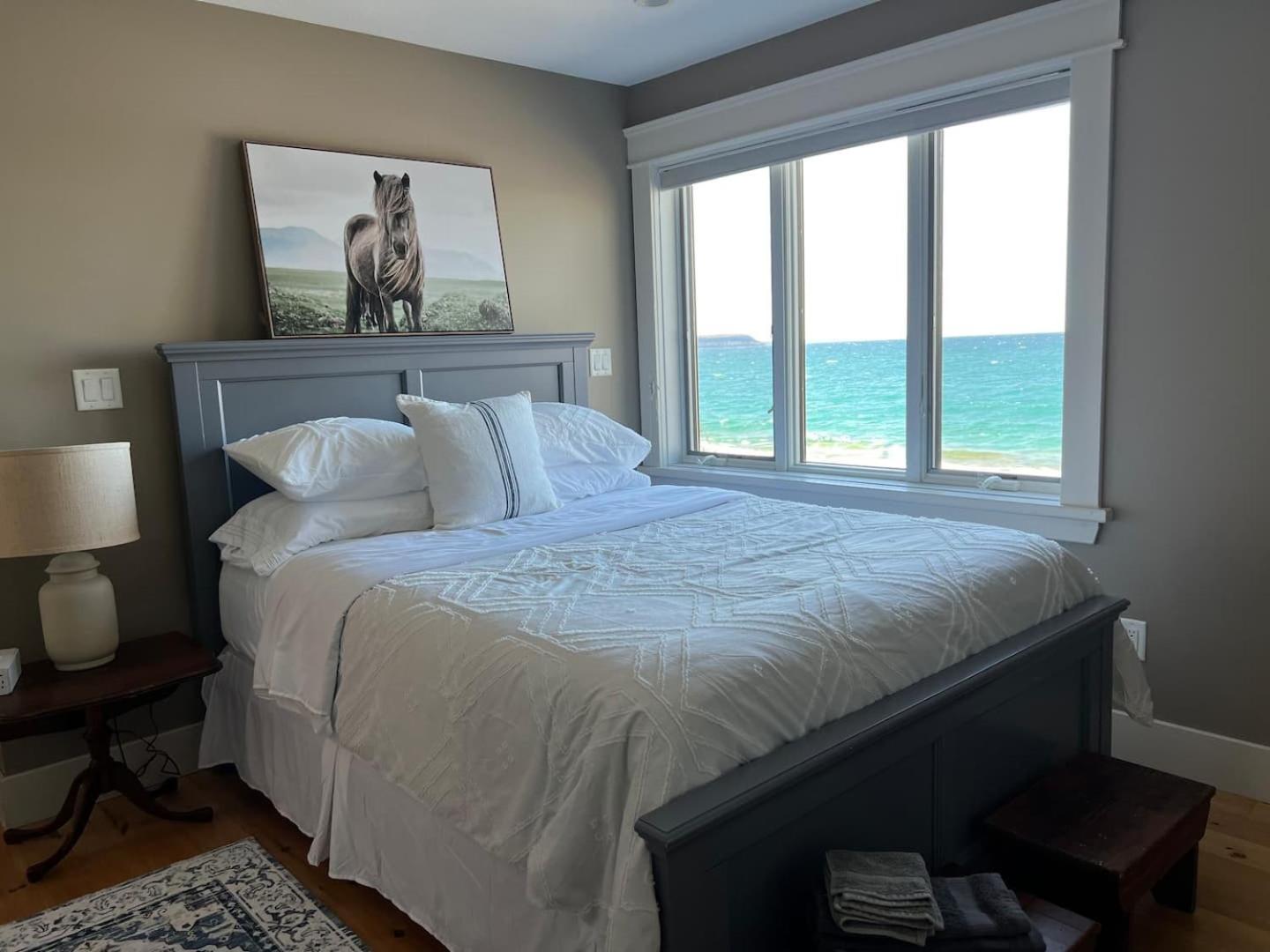 Michael's Luxury Cottage on Bruce Trail Starlink