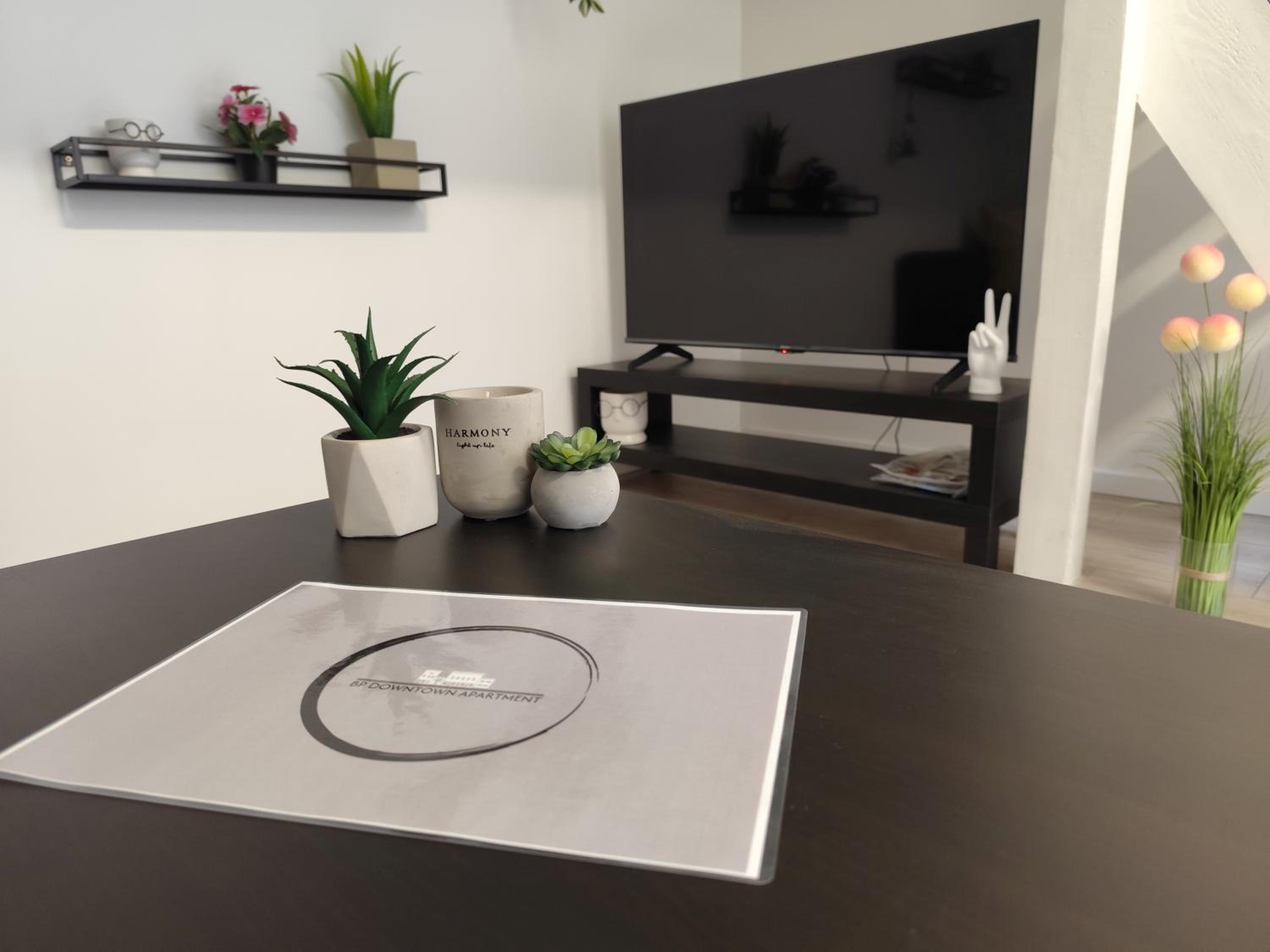 BP DownTown Apartment