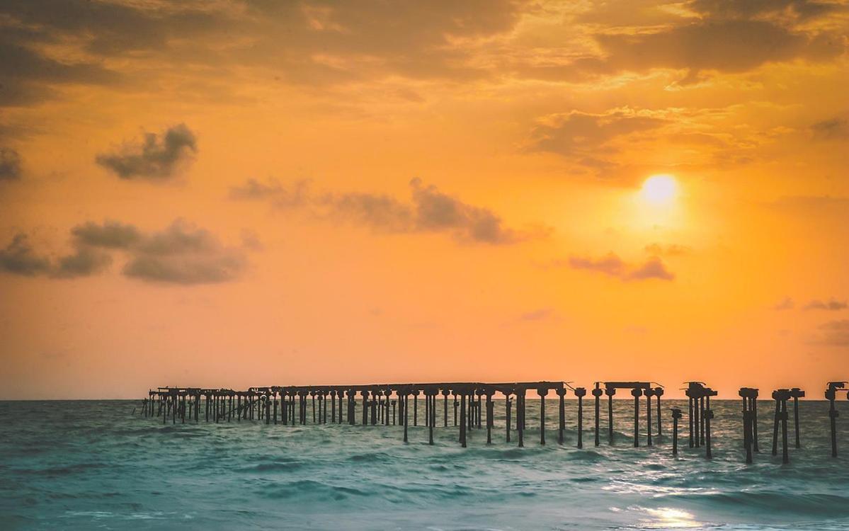 Alleppey Beach Wings