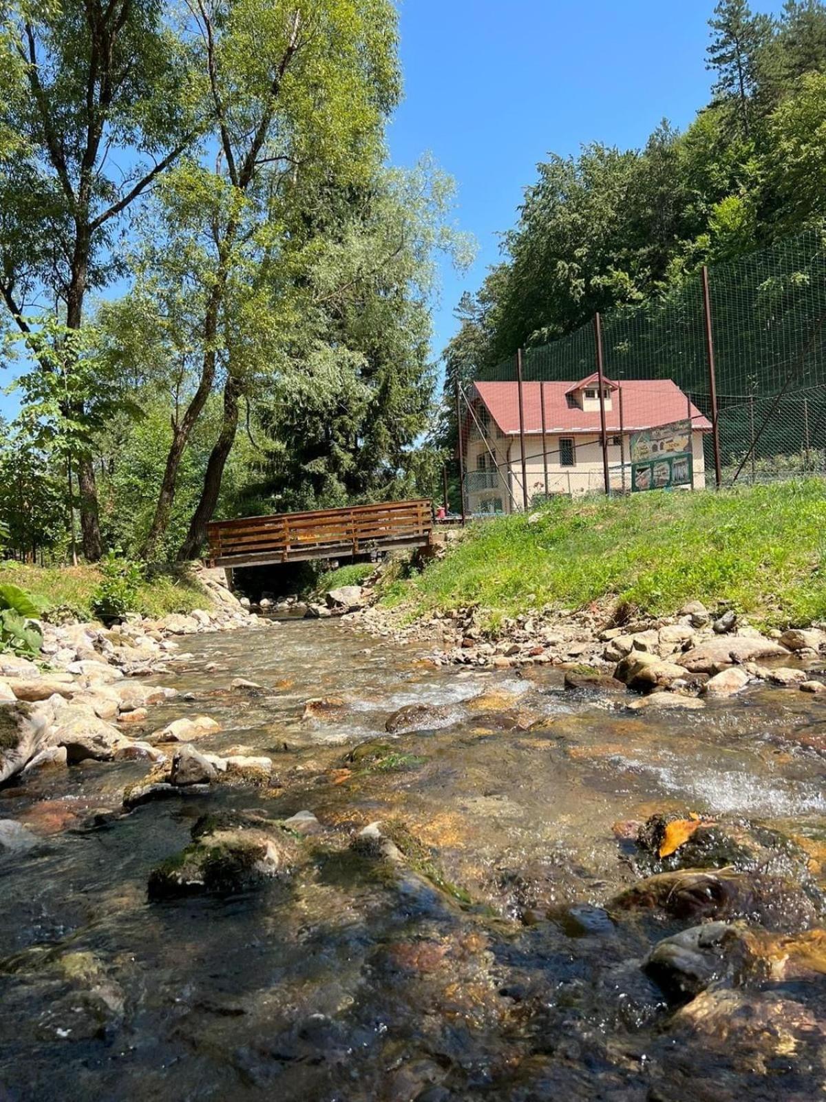 Casa Trei Brazi Bratca view 2