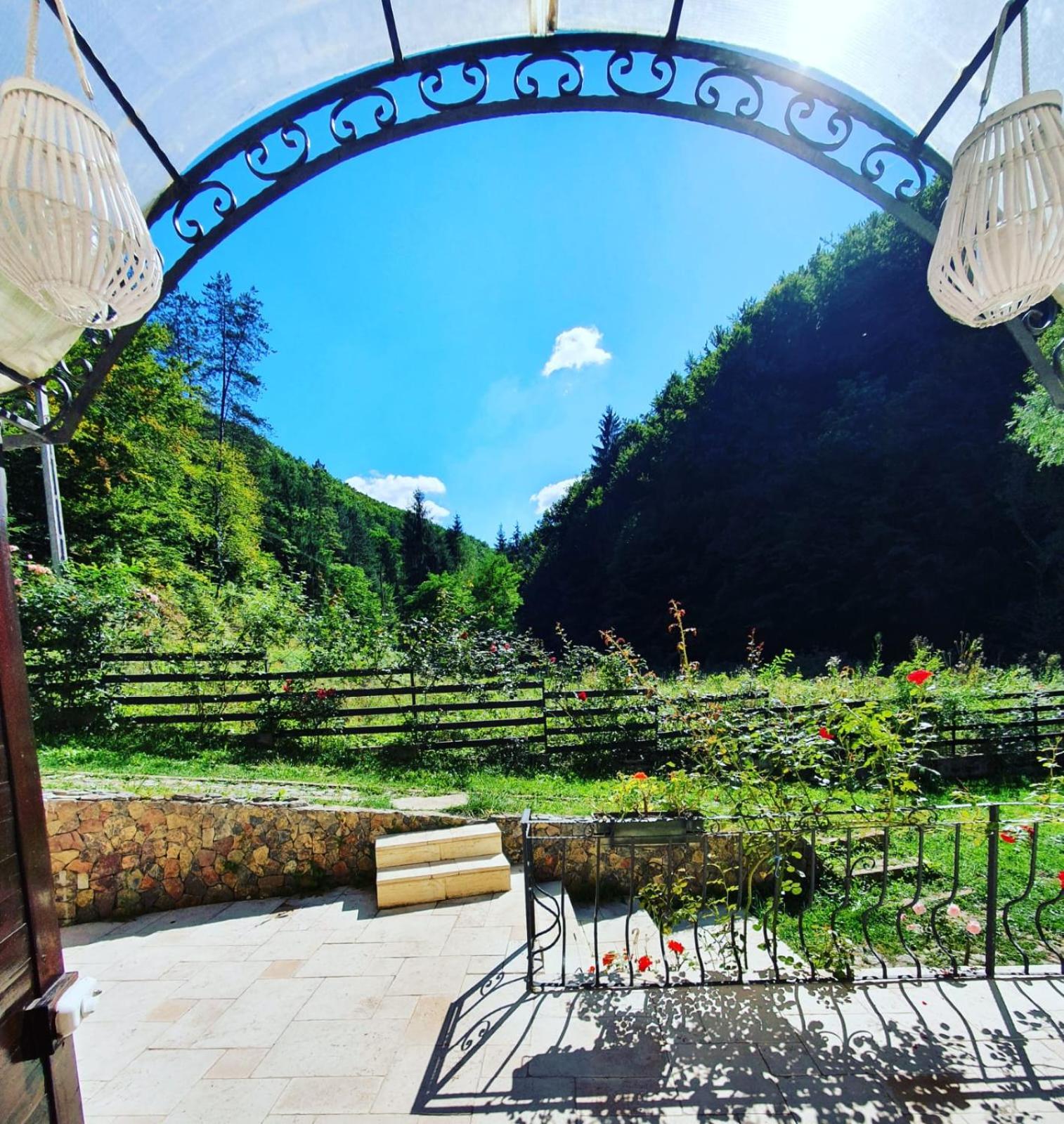 Casa Trei Brazi Bratca view 3