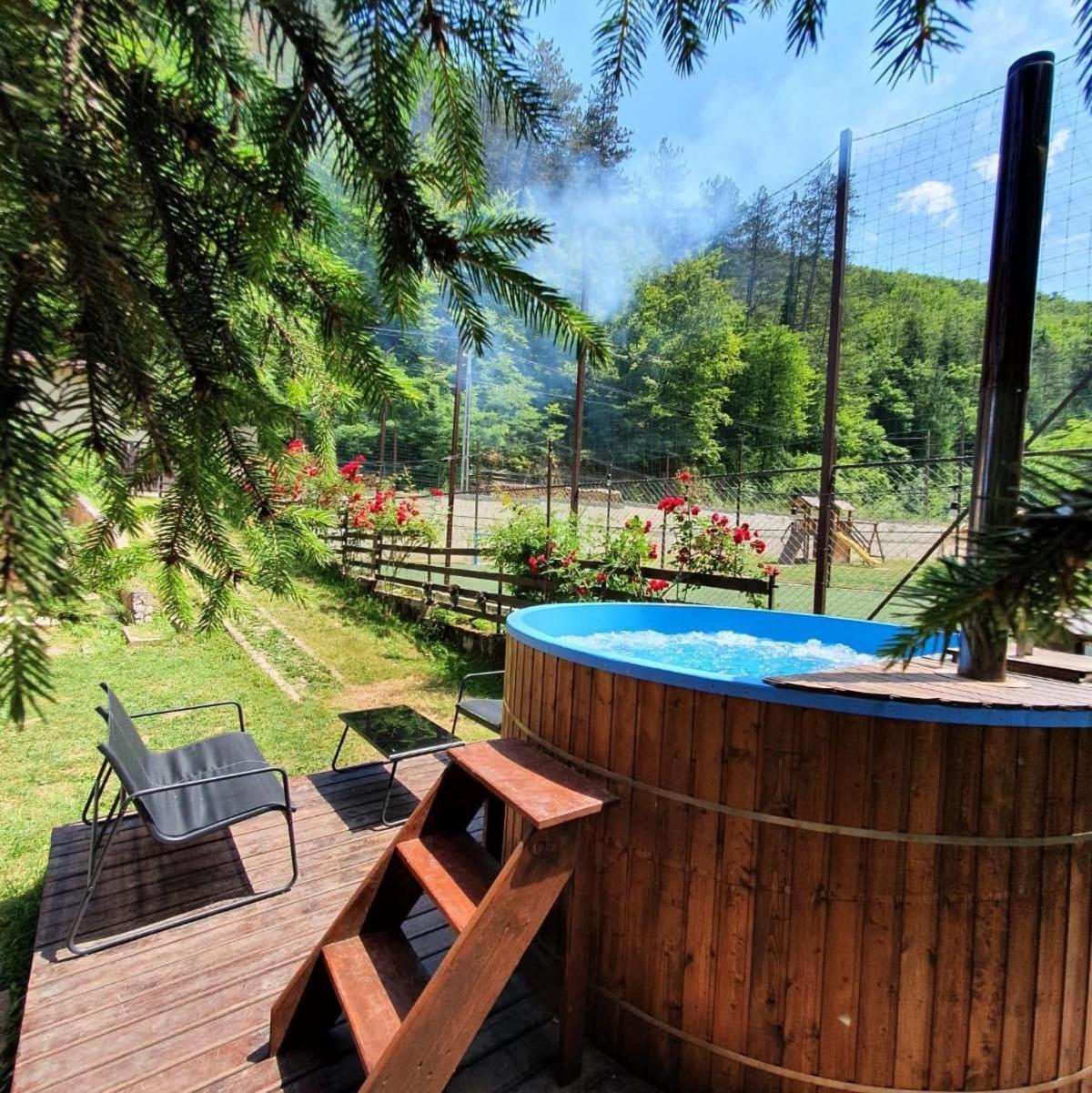 Casa Trei Brazi Bratca view 4