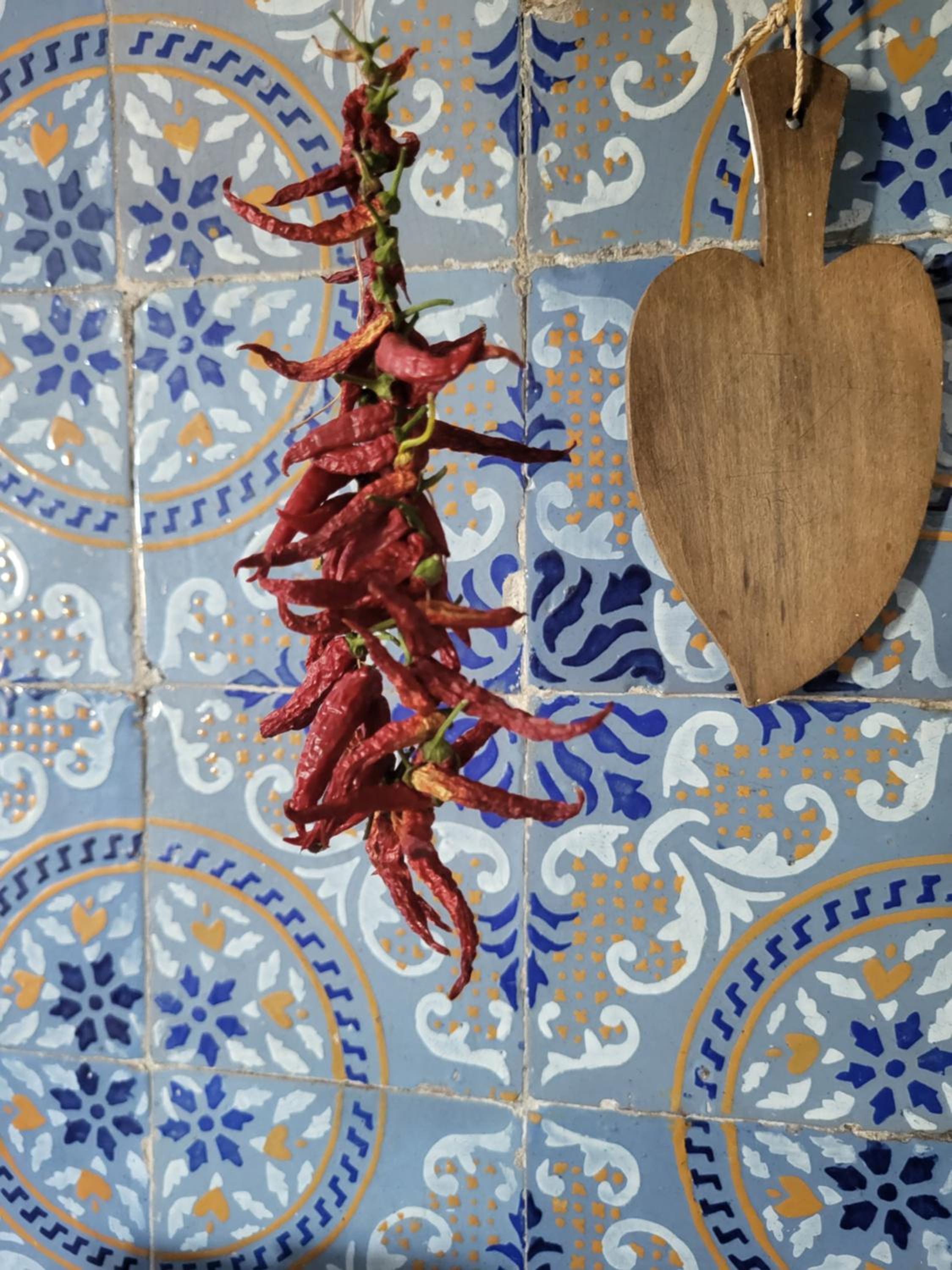 Antica casa eoliana con terrazza vista sul faro di Strombolicchio e giardino photo 3