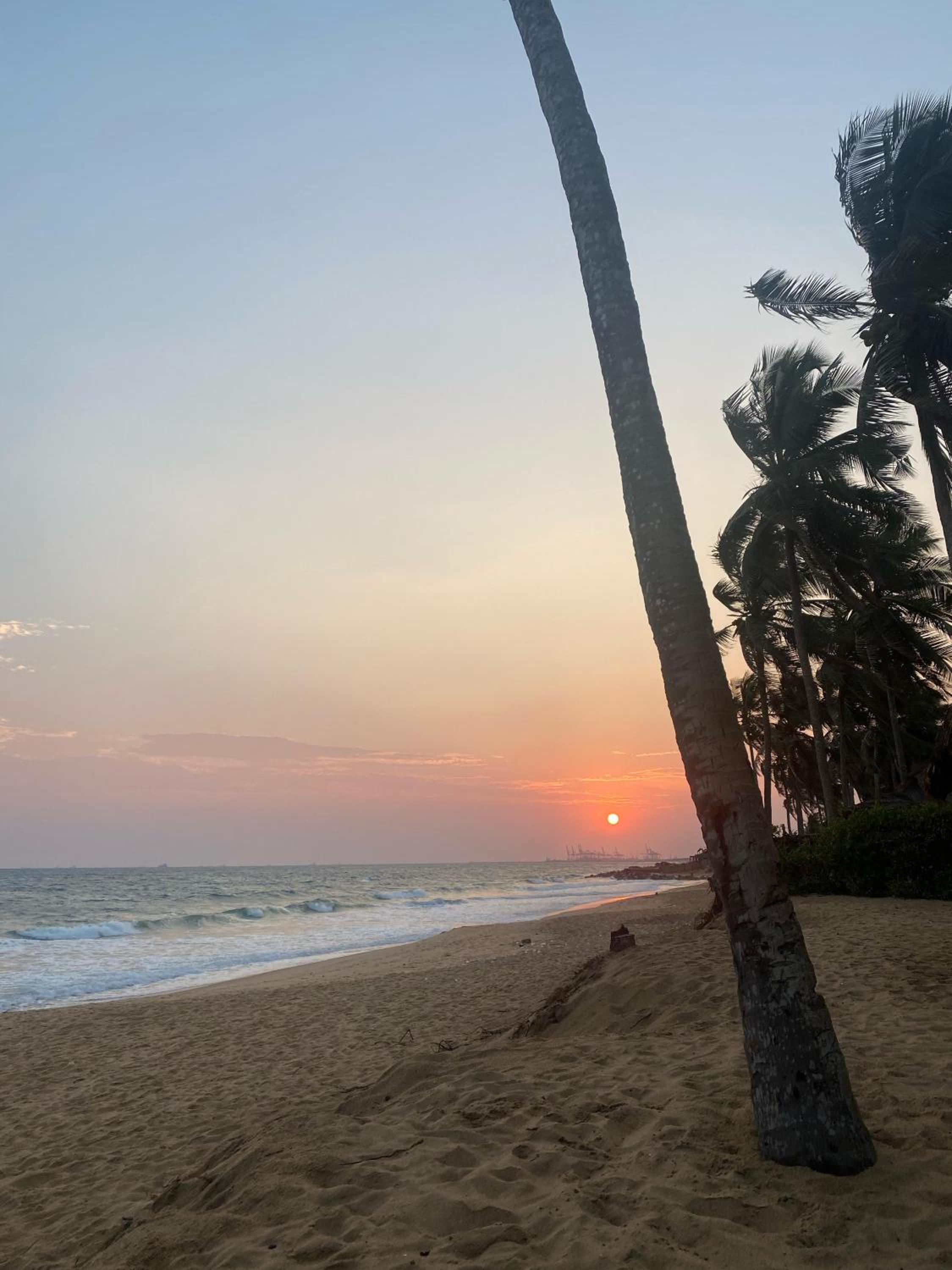 COCOBEACHchezantoine