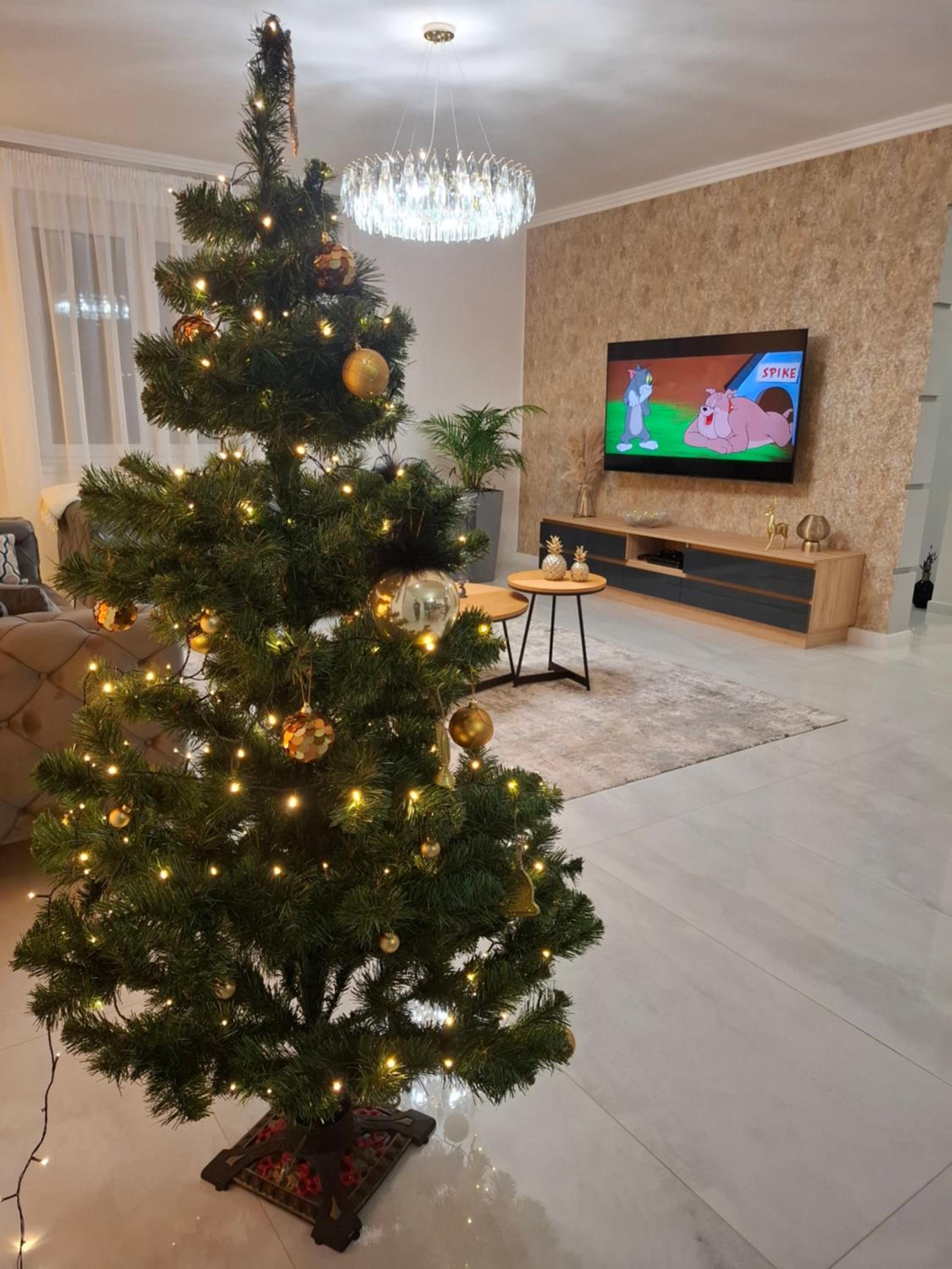 Photo 47
