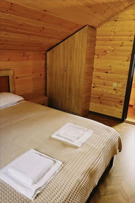Andrias Wooden Hut view 2