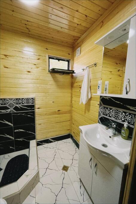 Andrias Wooden Hut view 4