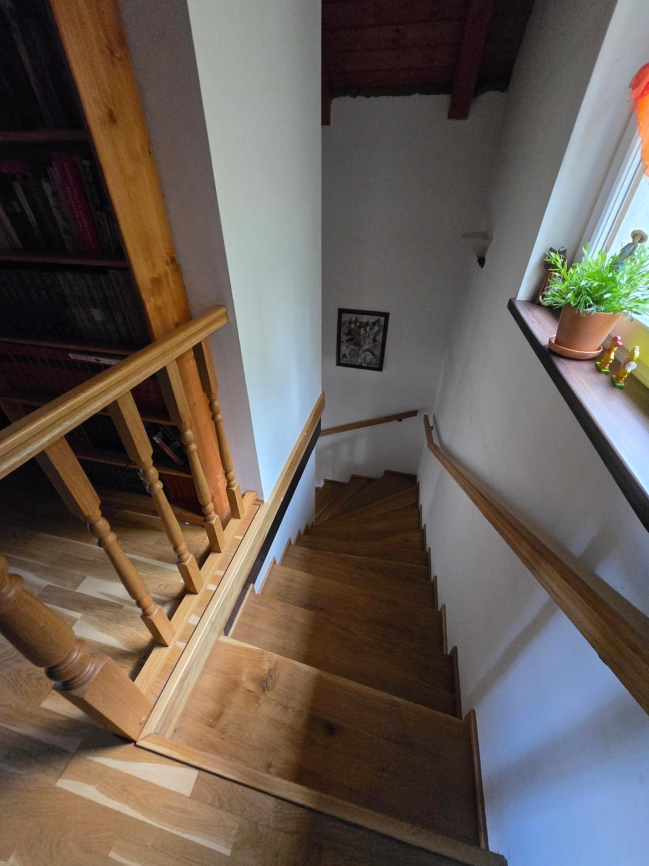Zelený dům