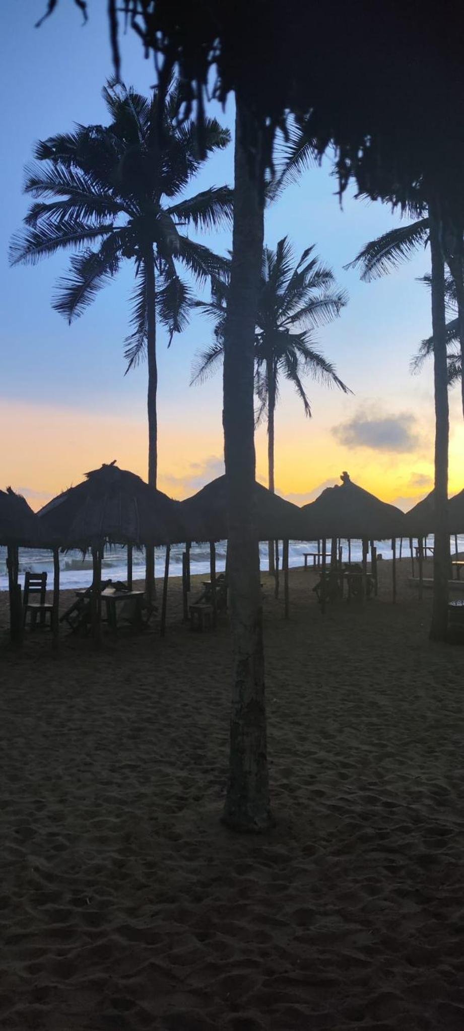 COCOBEACHchezantoine