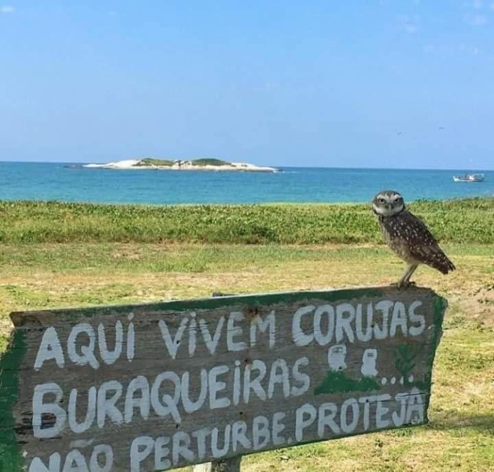 Cozy house with sea view in Barra de São João