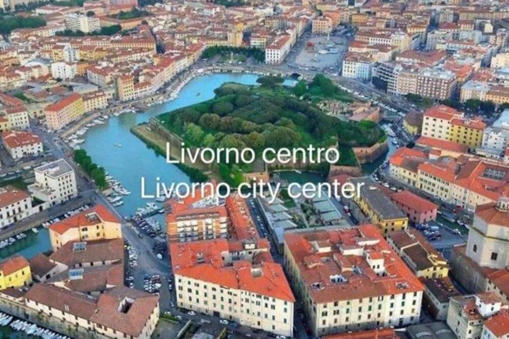 Orchidea Appartamento Livorno centro view 4