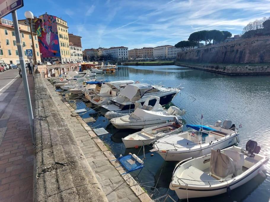 Orchidea Appartamento Livorno centro view 5