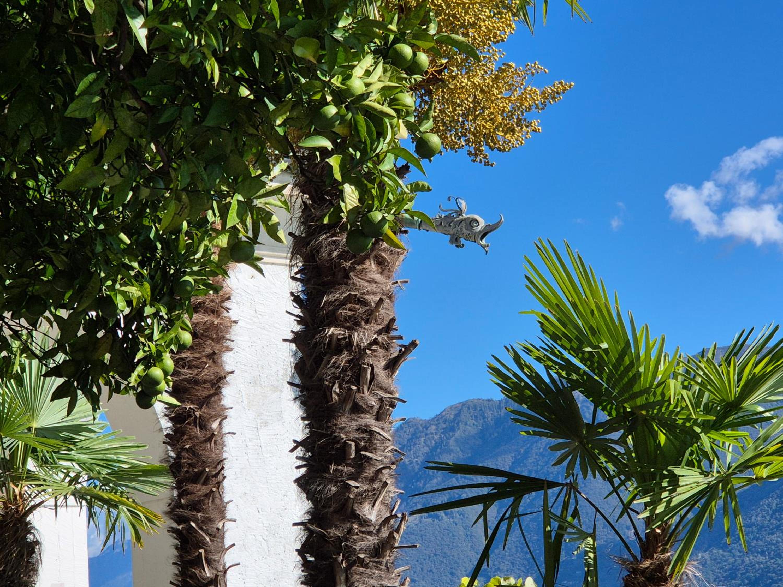 Seefront Villa in Ascona - Lago Maggiore, Ticino