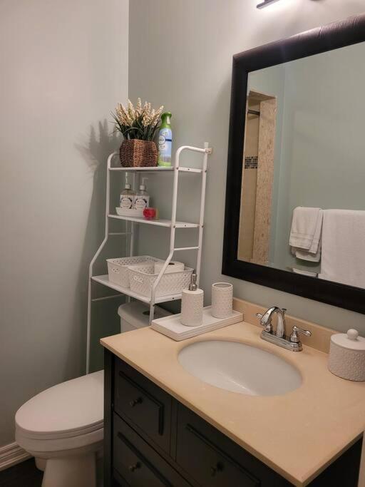 Cozy and comfy Studio Apartment