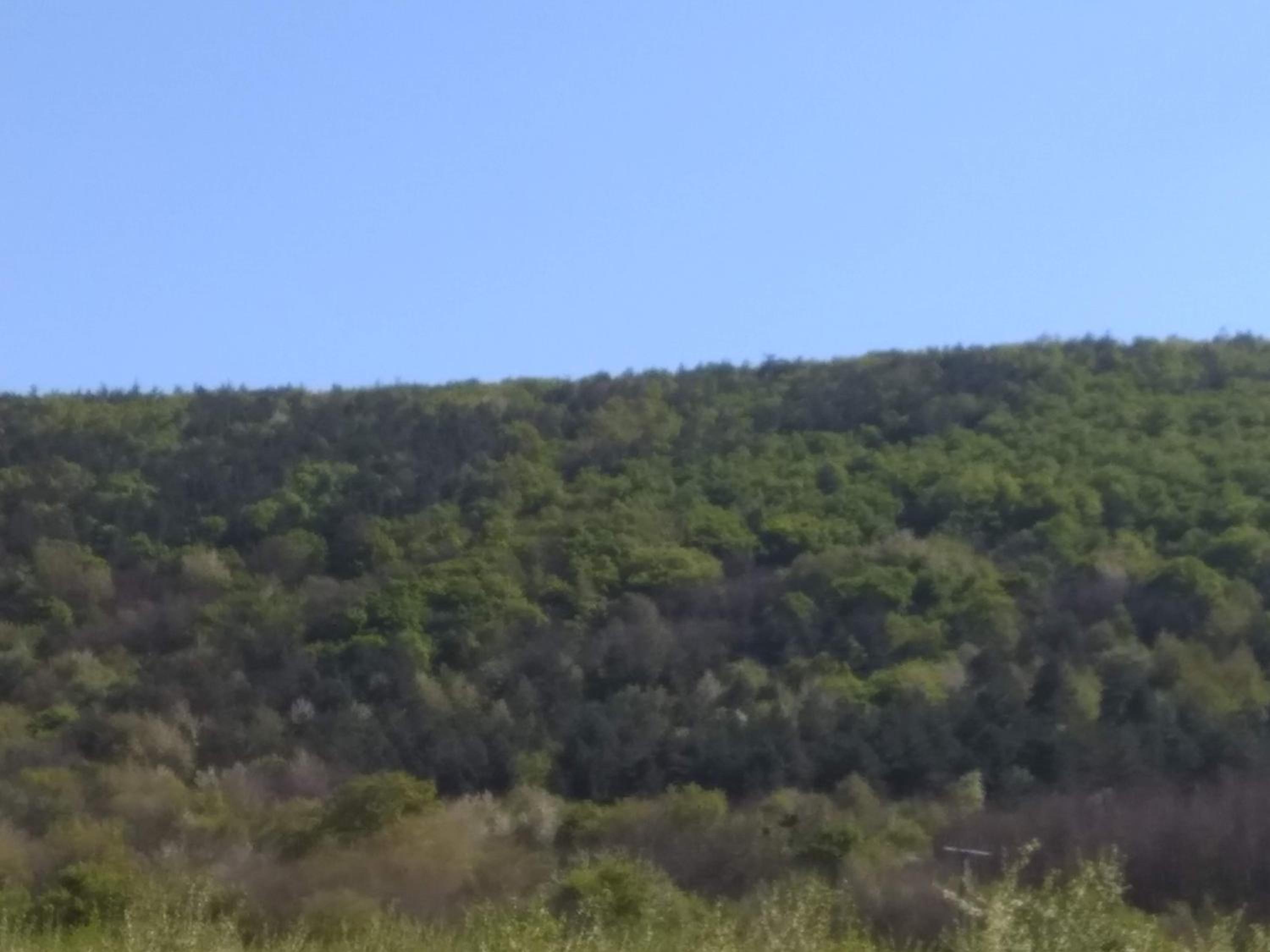Arka Patak vendégház