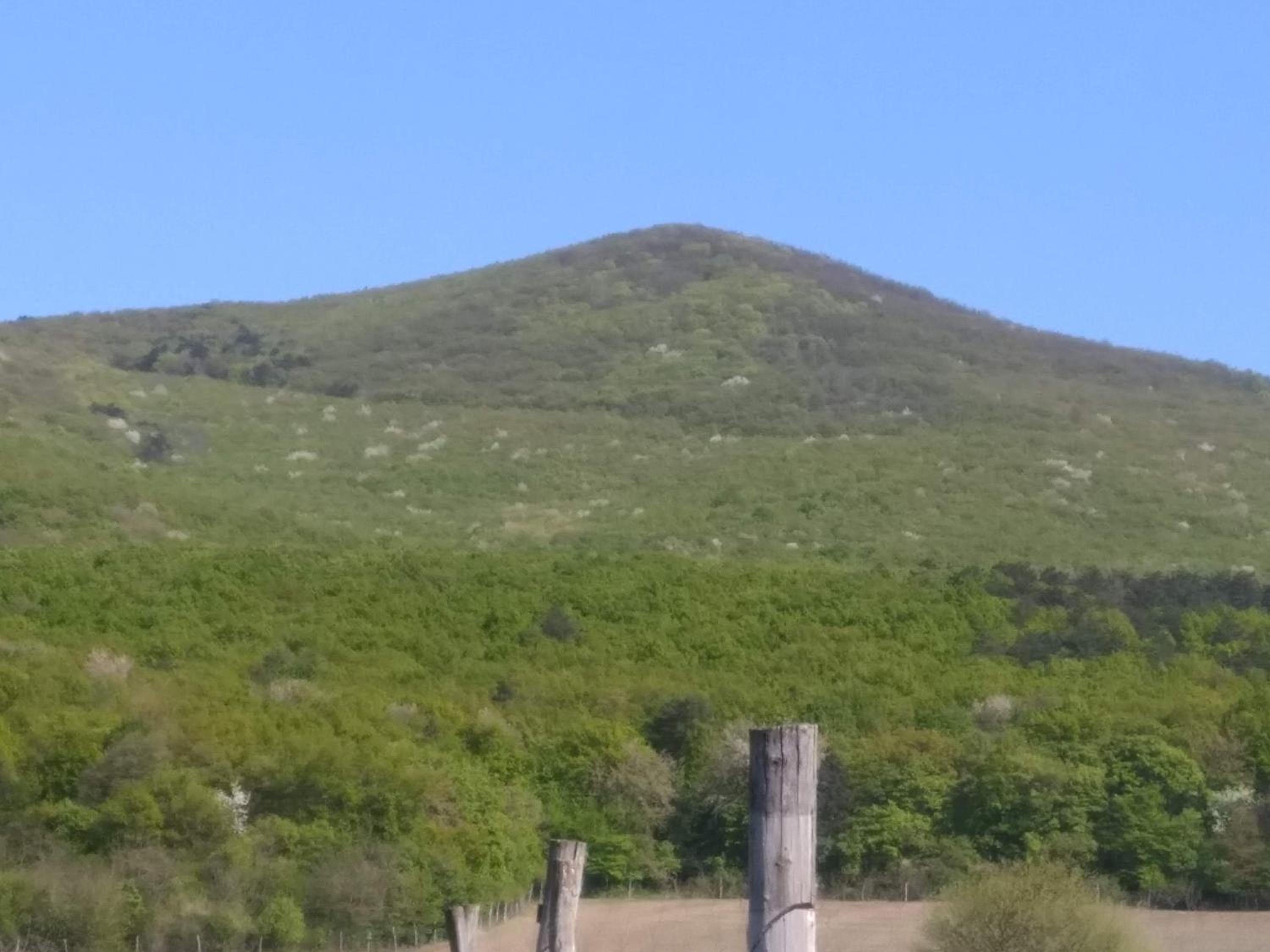 Arka Patak vendégház