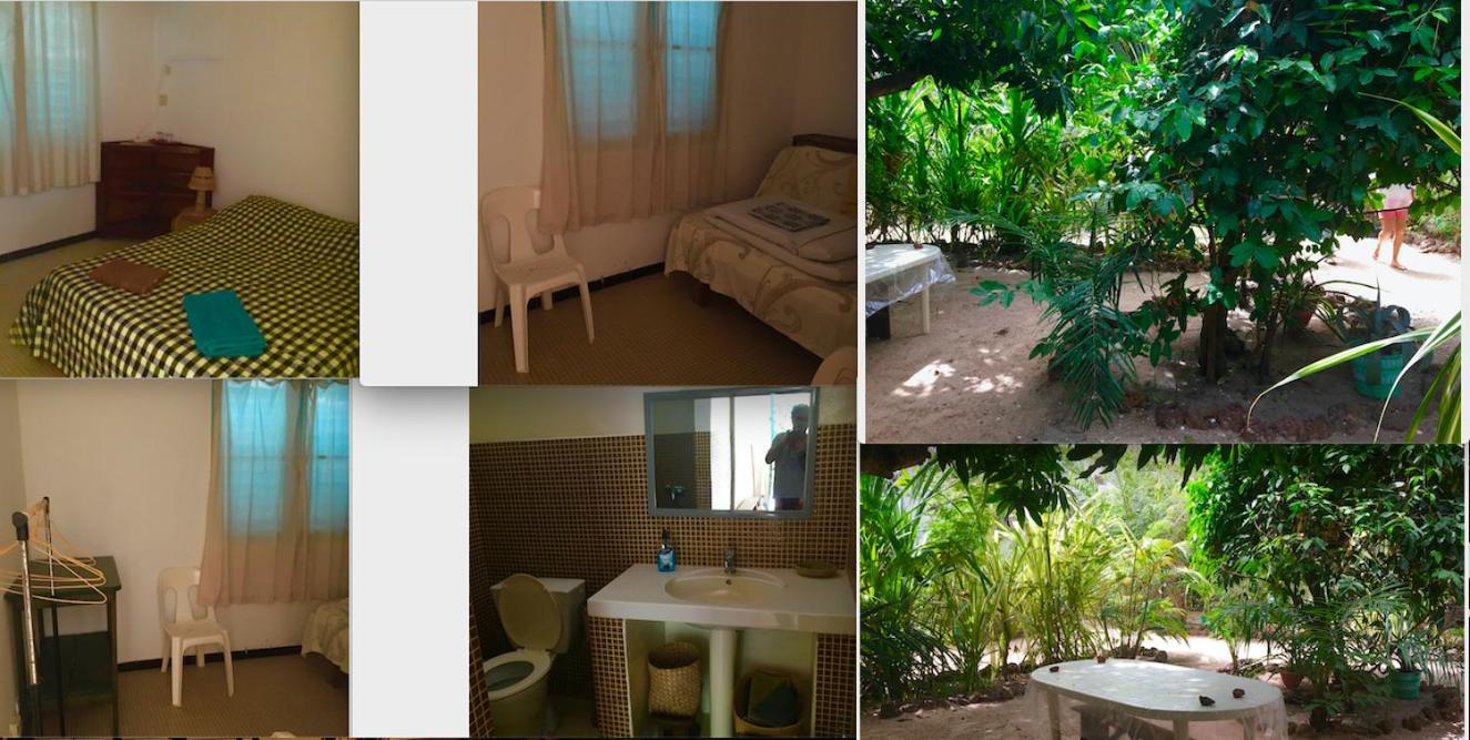 ECOLODGE SAFARI