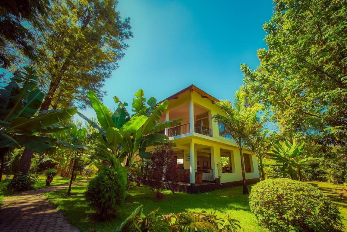 House of West Kili view 5
