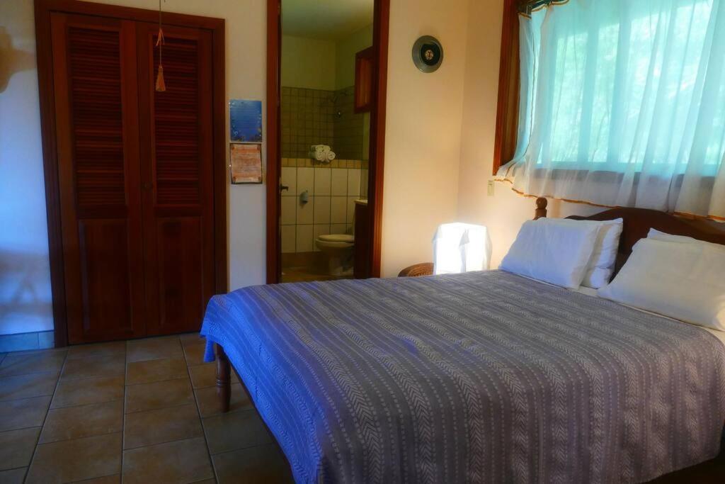 Villa Divina at Framadani estate - Jungle villa with a pool
