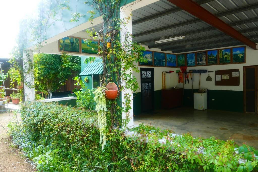 Villa Divina at Framadani estate - Jungle villa with a pool