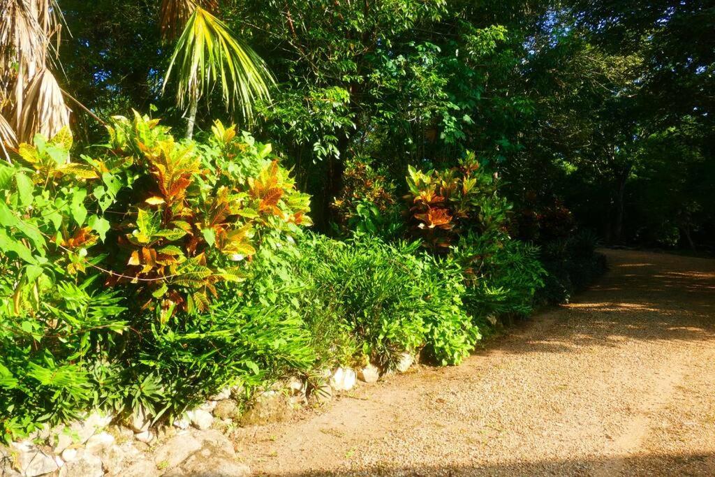 Villa Divina at Framadani estate - Jungle villa with a pool