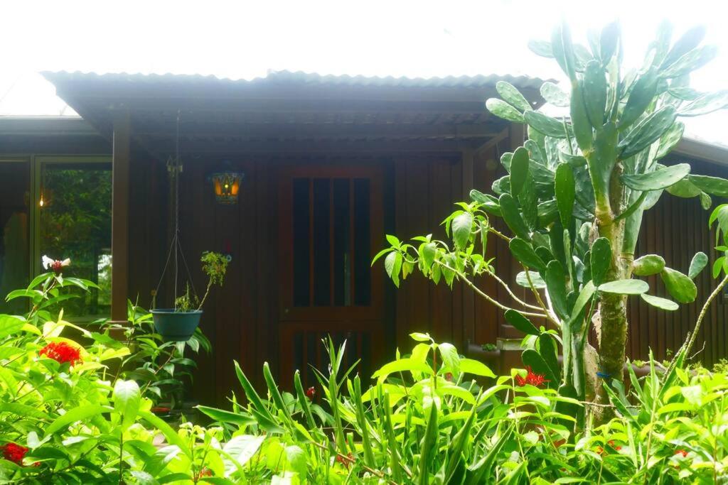 Villa Divina at Framadani estate - Jungle villa with a pool
