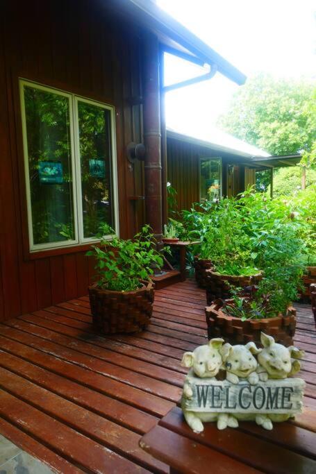 Villa Divina at Framadani estate - Jungle villa with a pool