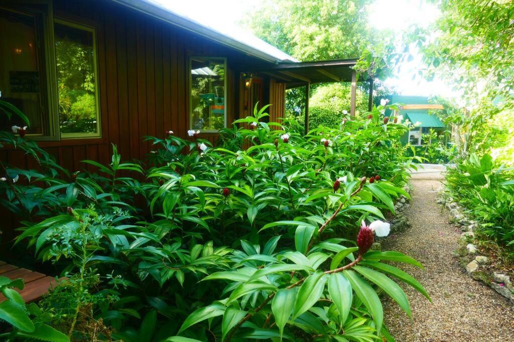 Villa Divina at Framadani estate - Jungle villa with a pool