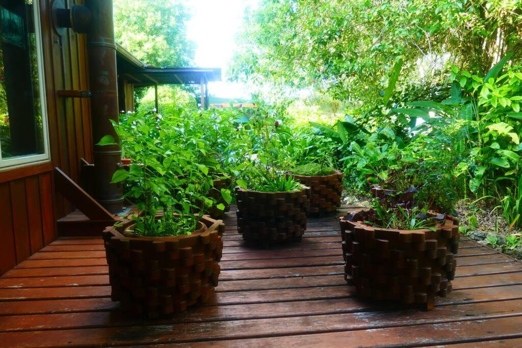 Villa Divina at Framadani estate - Jungle villa with a pool