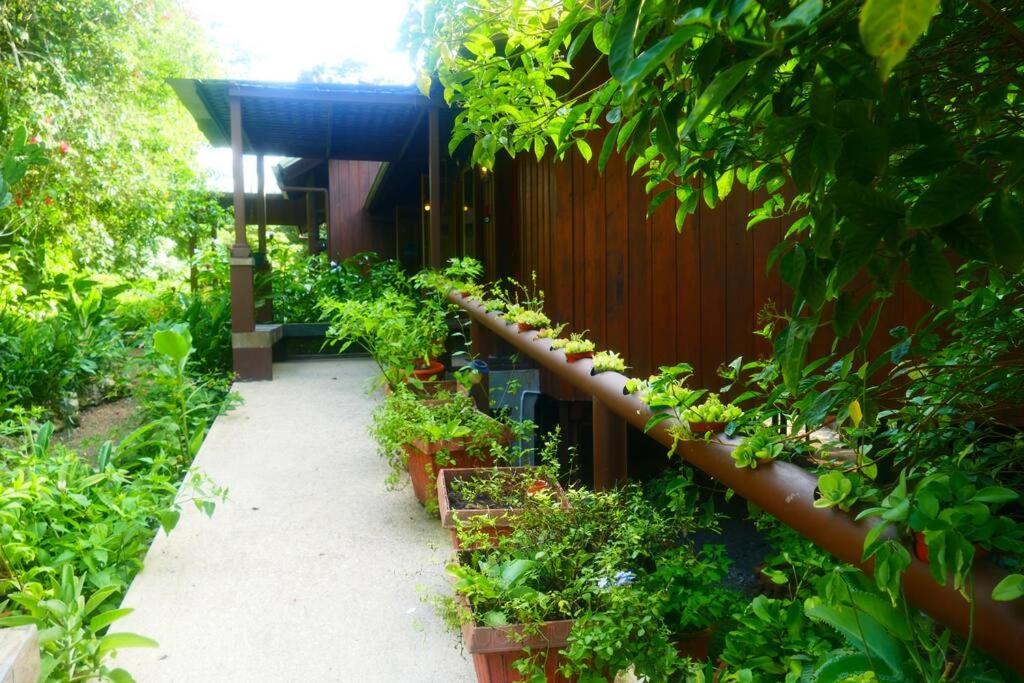 Villa Divina at Framadani estate - Jungle villa with a pool