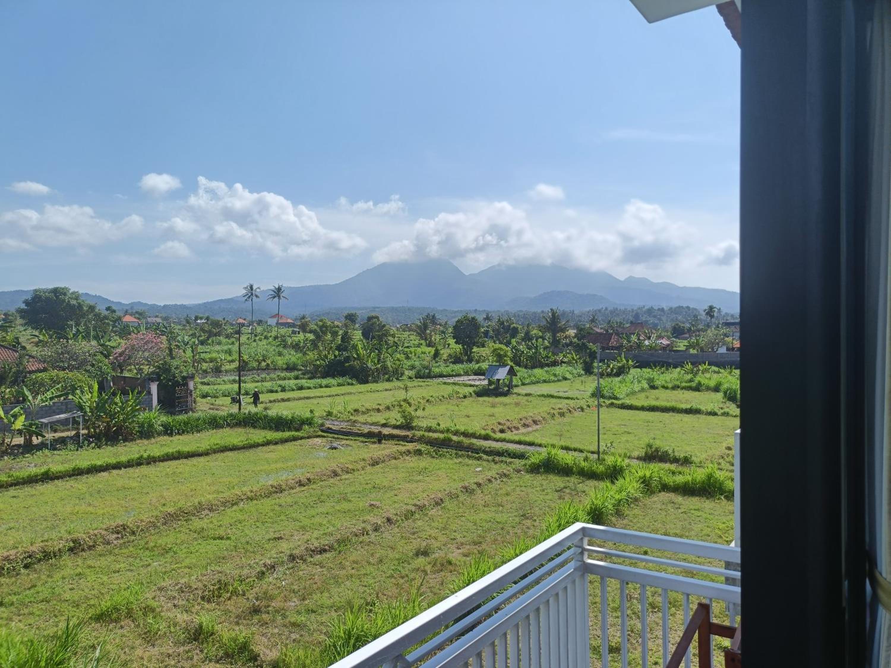 Limun guesthouse