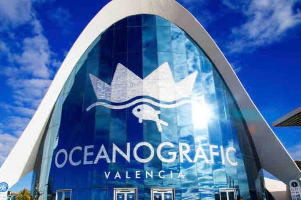 Ruzafa experience Oceanografic ciencias