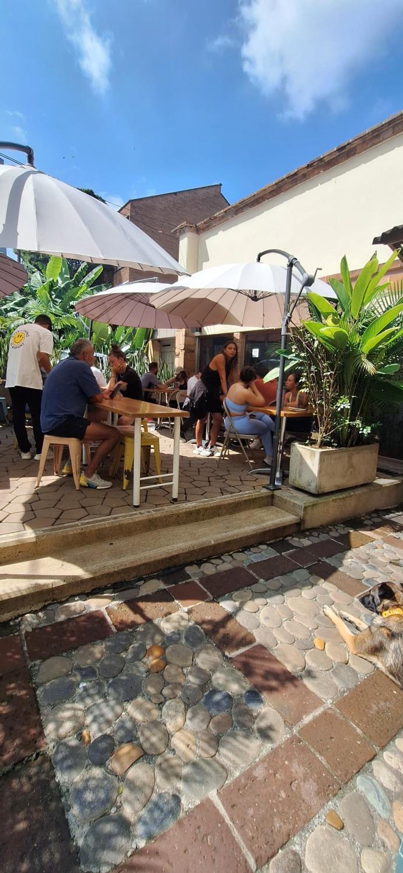 Yolo Hostel Medellin