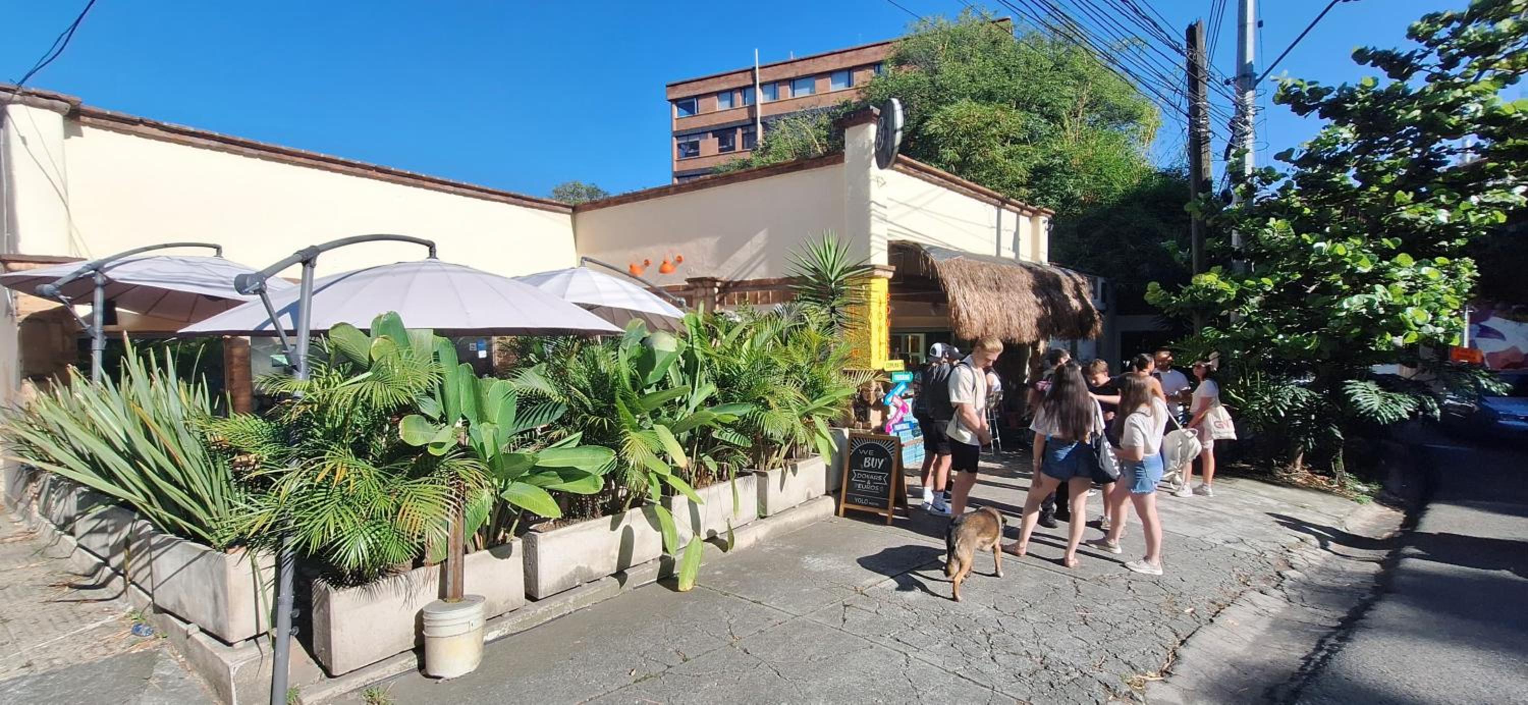 Yolo Hostel Medellin