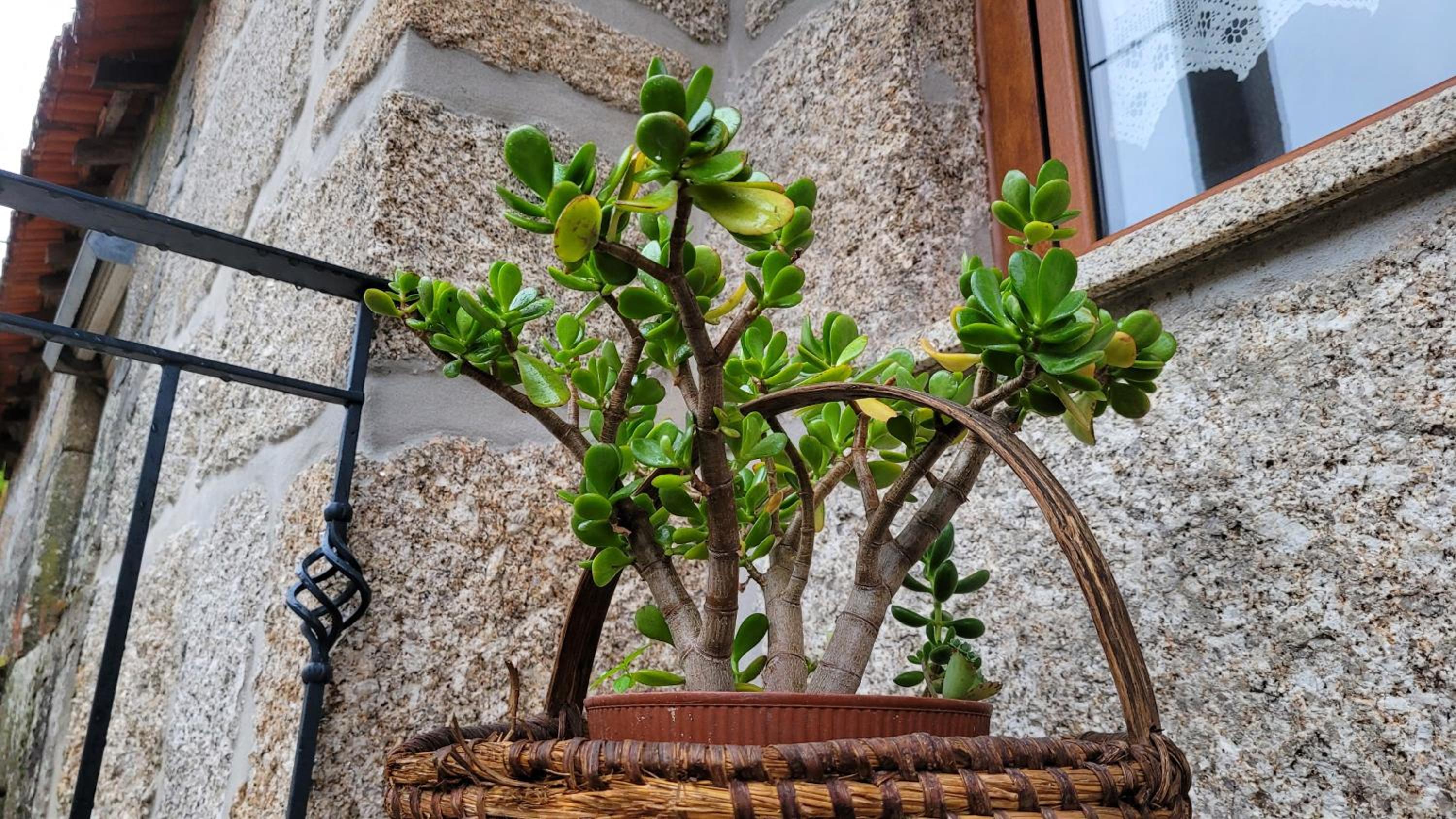 Casa da Fonte