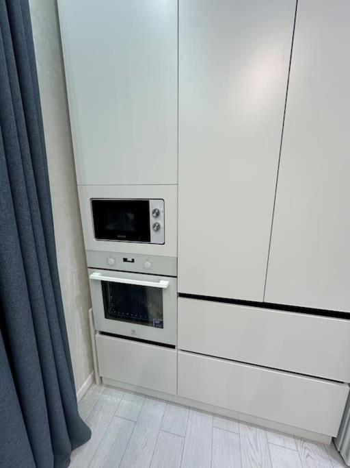 Baku luxury and secure flat in city centre